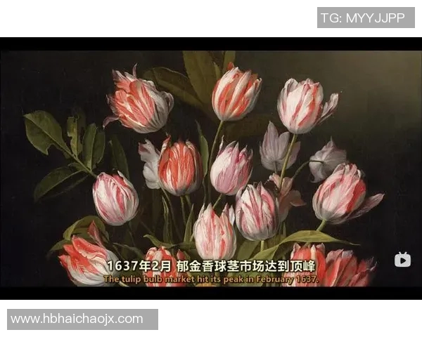 北京排球队的崛起之路：从默默无闻到世界锦标赛的辉煌历程