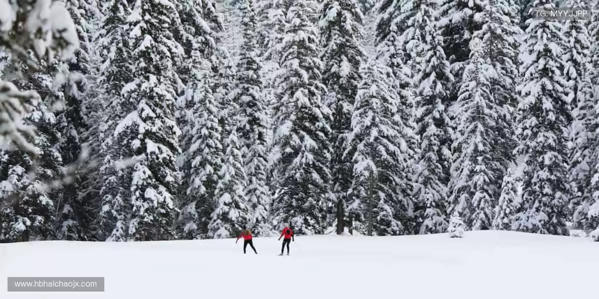 👕 限量周边,穿上它,你就是赛场最靓的崽!